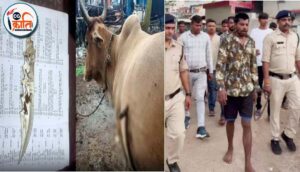 भिलाई नगर के थानांतर्गत रूआबांधा क्षेत्र में सोम-मंगलवार की दरमियान रात आरोपी ने एक गर्भवती गाय की पेट पर चाकू घोप दिया. इसके बाद आरोपी युवक चाकू निकालने गाय के पीछे दौड़ता रहा.