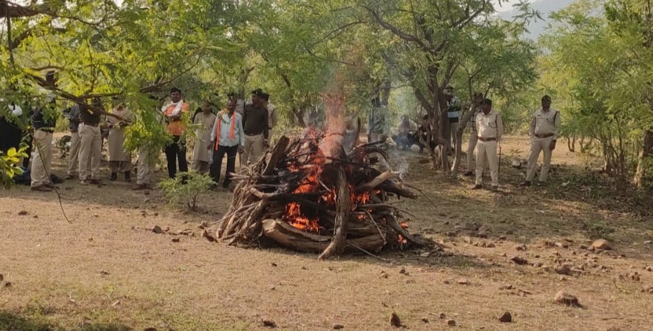 न विभाग की मौजूदगी में मृत तेंदुए का अंतिम संस्कार किया गया